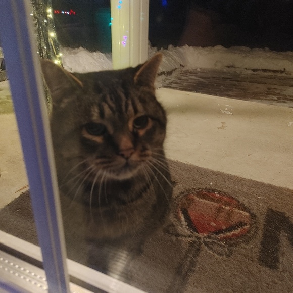 Meet your Posher, Amanda - Picture 1 of 1